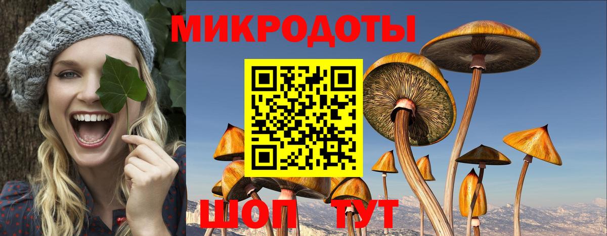 Псилоцибиновые грибы прущие грибы  Вход с VPN  Псилоцибиновые грибы Magic Shrooms  Еманжелинск 