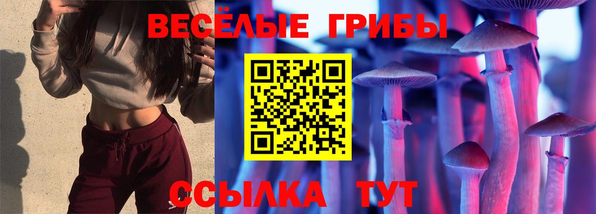 Галлюциногенные грибы Cubensis  Еманжелинск 